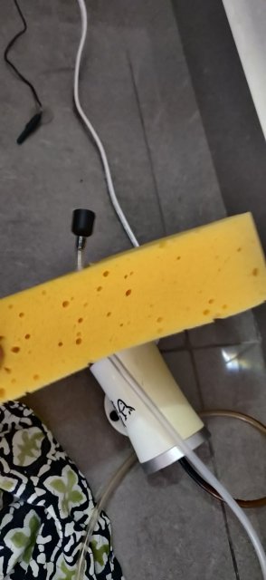 IMG_20200402_171320.jpg IMG_20200402_171320.jpg