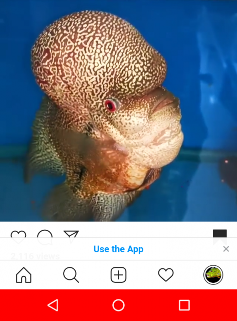 Screenshot_20200402-124102~2.png Screenshot_20200402-124102~2.png