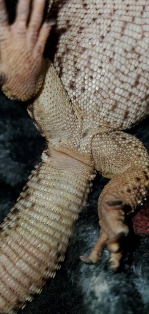 20200403_203823.jpg 20200403_203823.jpg