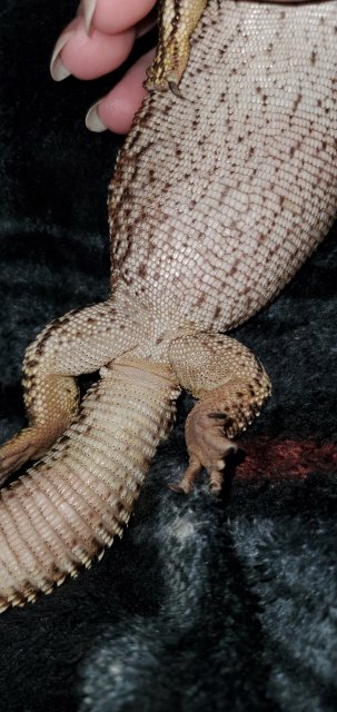 20200403_203818.jpg 20200403_203818.jpg