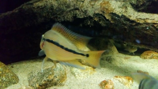 DSC_0157.JPG