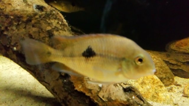 DSC_0154.JPG