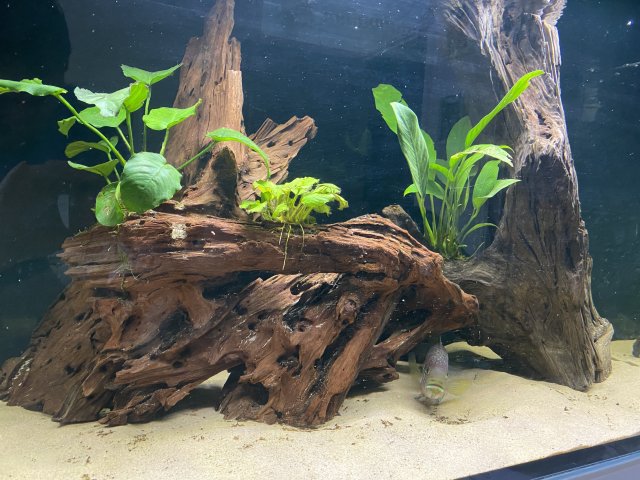 B2EF7EA0-3BD9-4C8F-9C52-B32B4C7A630E.jpeg B2EF7EA0-3BD9-4C8F-9C52-B32B4C7A630E.jpeg