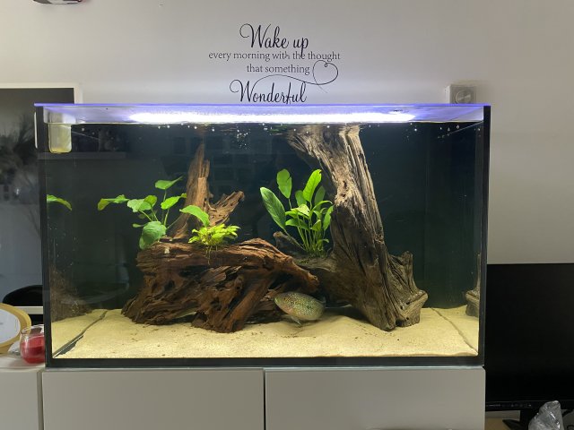 F290AA90-DF5E-4D6D-9CA9-4715581ADAFE.jpeg F290AA90-DF5E-4D6D-9CA9-4715581ADAFE.jpeg