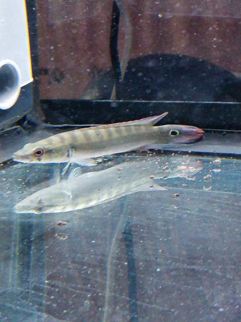 IMG_20200225_143647.jpg