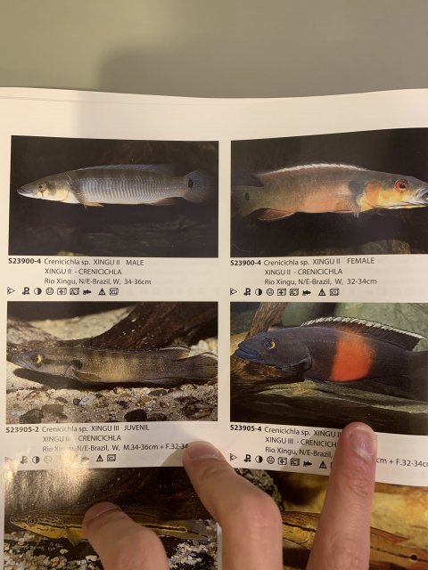 178DB55E-D2EC-44AE-AA41-AF0CA980270C.jpeg