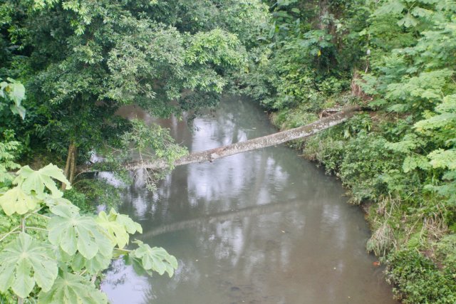 11D531EC-9D6A-4AD3-ADAA-B0068222AD41_1_201_a.jpeg