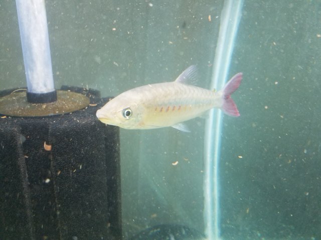 20200410_144047.jpg 20200410_144047.jpg