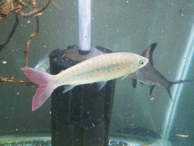 20200410_143942.jpg 20200410_143942.jpg