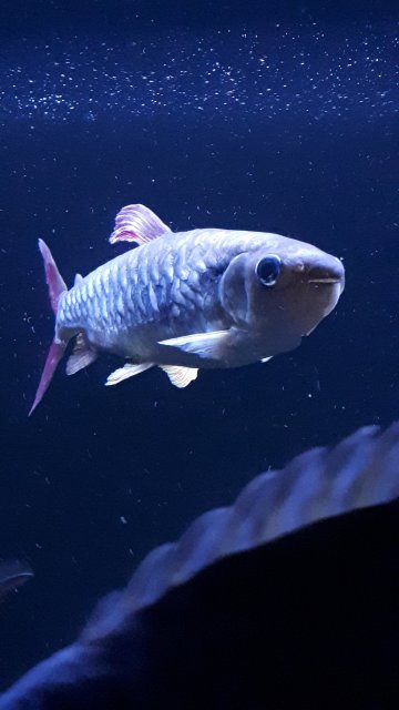 20200208_181542.jpg 20200208_181542.jpg