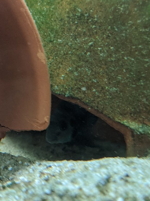MVIMG_20200411_162203.jpg