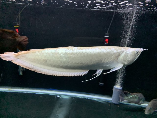 FECDAE12-398E-488E-8E63-5C5CFA94A04F.jpeg
