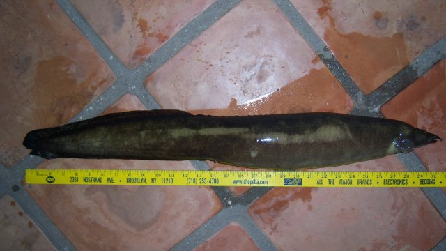 100_8631.JPG