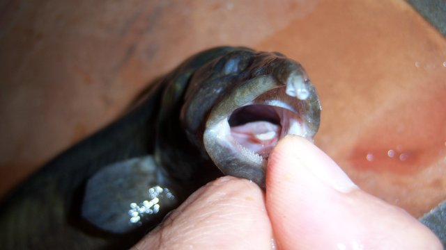 100_8635.JPG