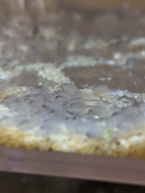MVIMG_20200415_152858.jpg