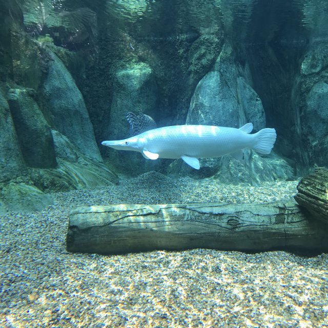 IMG_2710.jpg