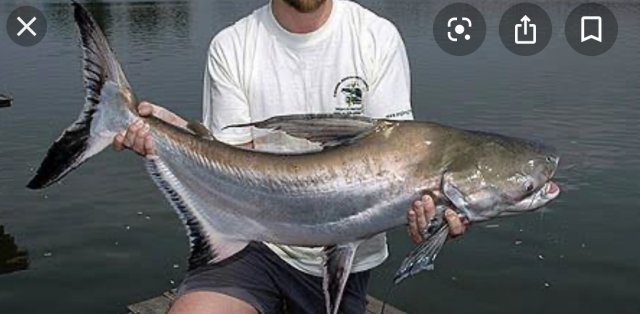 02F29792-E682-43FF-A4CE-6CEC2047253D.jpeg 02F29792-E682-43FF-A4CE-6CEC2047253D.jpeg