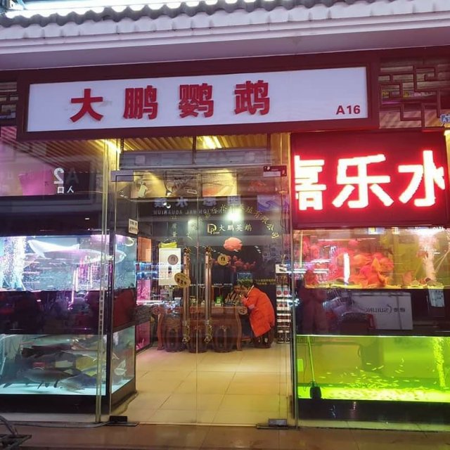 Fish Store 4.jpg