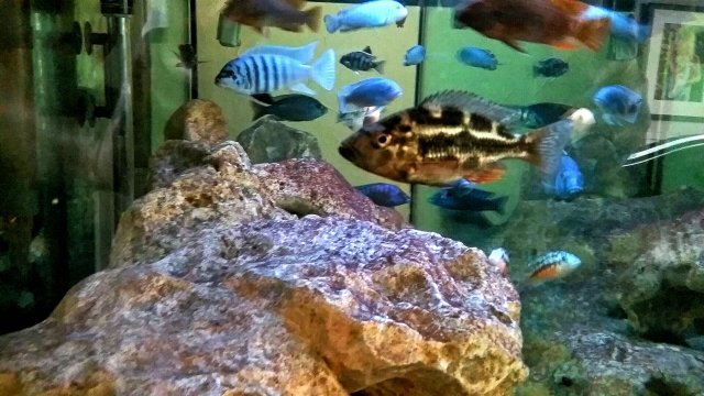 20200422_071039.jpg