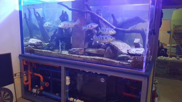20191227_210923.jpg