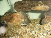 DSC00070.JPG