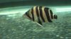 small 2.jpg