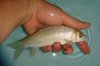 DSC00440.JPG