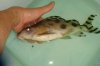 DSC00439.JPG
