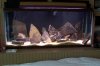 100_9157.jpg