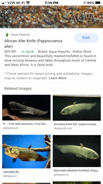 B4F63F14-80B2-48F4-A6AA-2C72C677B9C2.png