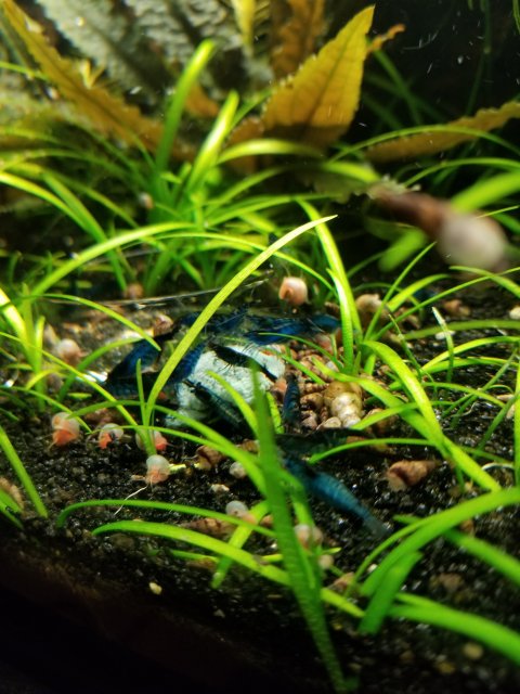 20200103_163107.jpg