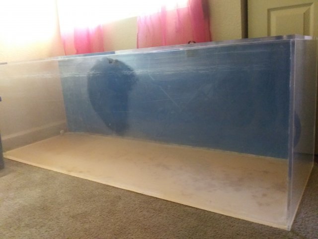20200422_164551.jpg