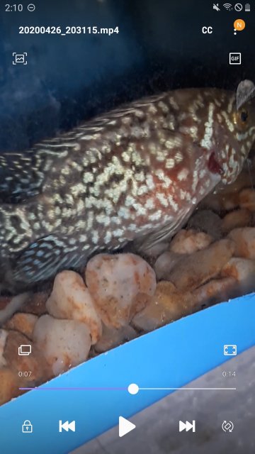 Screenshot_20200427-141051_Video Player.jpg