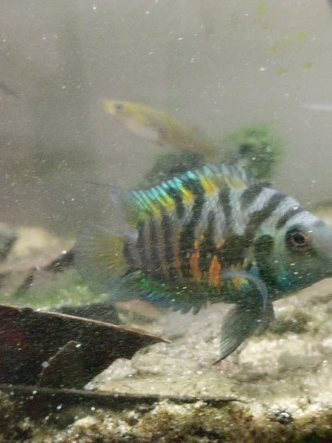 IMG_20200408_162551_exported_366_1588065367042.jpg