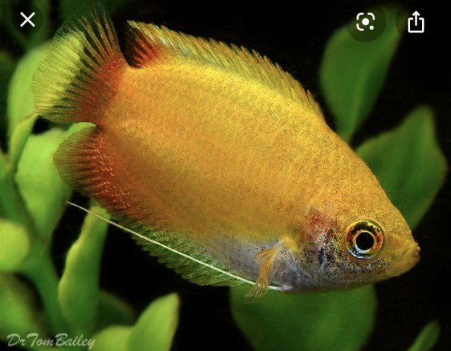 2FB6F70C-7837-430E-B185-27FB80231056.jpeg 2FB6F70C-7837-430E-B185-27FB80231056.jpeg