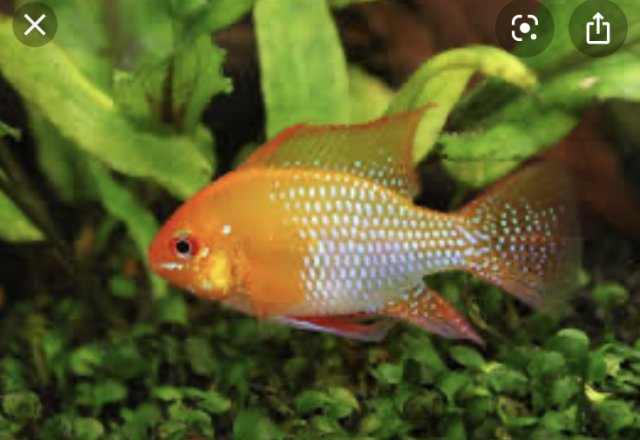 8DC05010-9BF7-42BB-AC8F-F964B71D3661.jpeg 8DC05010-9BF7-42BB-AC8F-F964B71D3661.jpeg