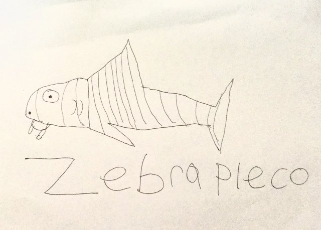 0DC9ED83-8B33-4181-8646-AEB77A93135E.jpeg 0DC9ED83-8B33-4181-8646-AEB77A93135E.jpeg