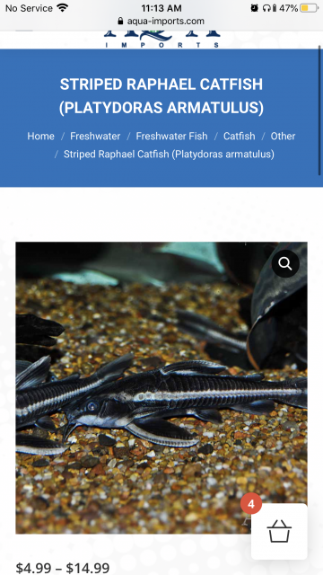 7A9A7C83-1AF7-480C-856D-0F3CB2F41496.png 7A9A7C83-1AF7-480C-856D-0F3CB2F41496.png