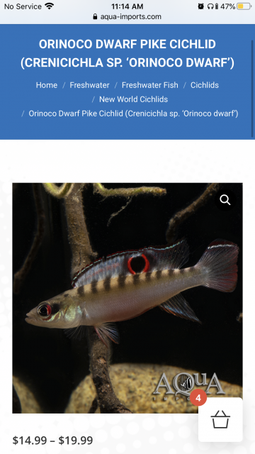 E44EAA52-B27A-4E86-86E0-ED2C2A74CE7A.png E44EAA52-B27A-4E86-86E0-ED2C2A74CE7A.png