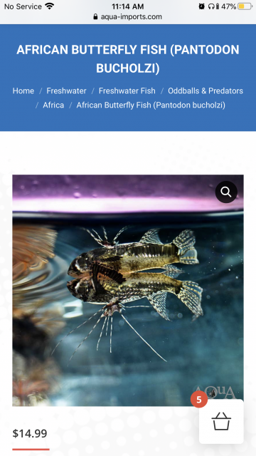 A92FA088-1FEE-48B4-BF87-9FA6200A135F.png A92FA088-1FEE-48B4-BF87-9FA6200A135F.png