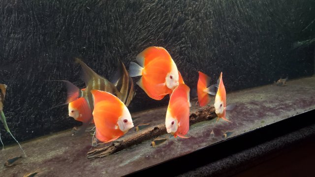 20190818_213855.jpg 20190818_213855.jpg