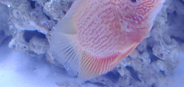 20200505_000844.jpg 20200505_000844.jpg