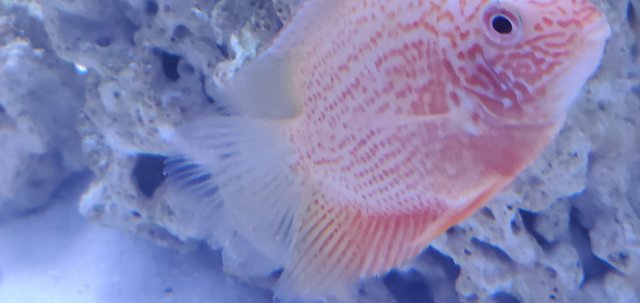 20200505_000843.jpg 20200505_000843.jpg