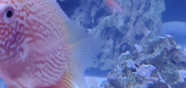 20200505_000820.jpg 20200505_000820.jpg