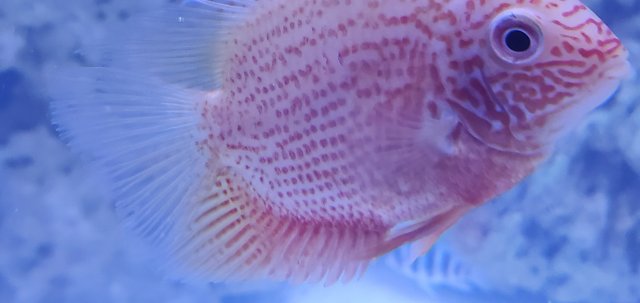 20200505_000807.jpg 20200505_000807.jpg