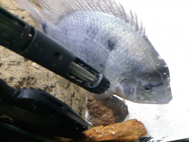 20200506_174636.jpg