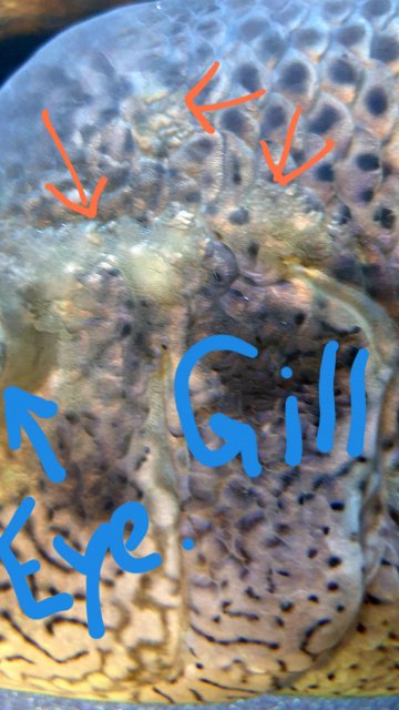 20200507_173500.jpg 20200507_173500.jpg