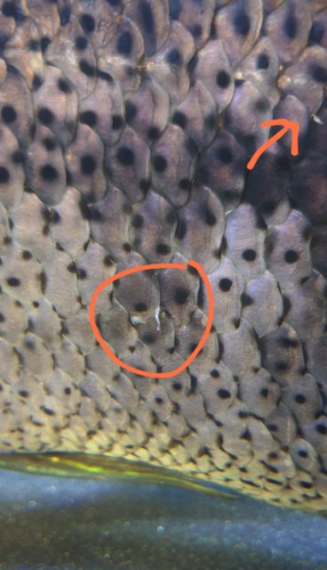 20200507_172940.jpg 20200507_172940.jpg