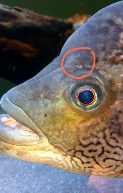 20200507_172822.jpg 20200507_172822.jpg