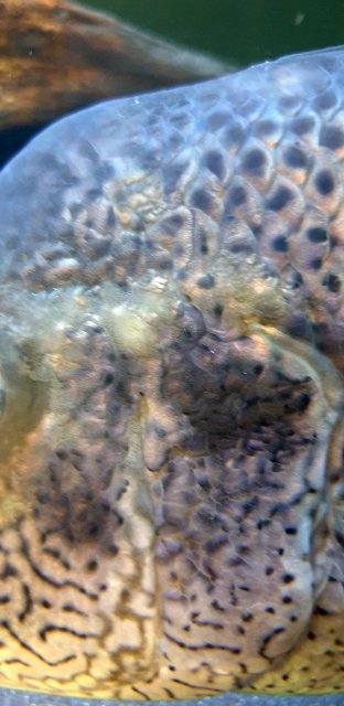 20200507_172428.jpg 20200507_172428.jpg